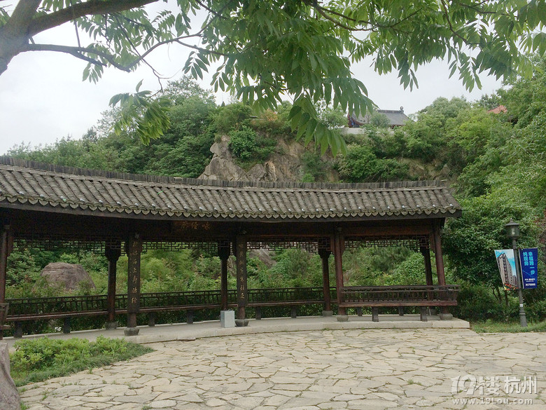 周日游德清塔山森林公园