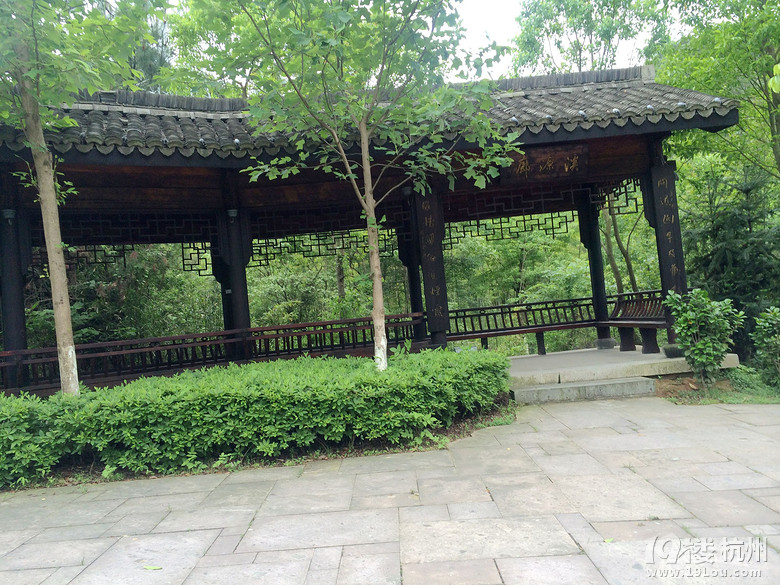 周日游德清塔山森林公园
