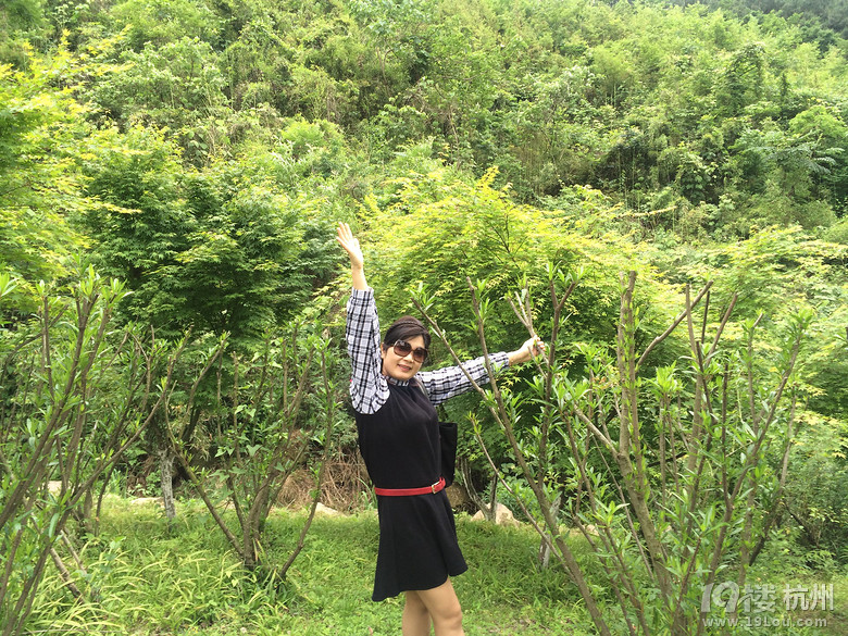 周日游德清塔山森林公园