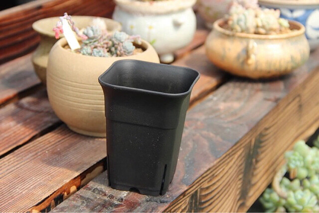 多肉万象盆石丸盆吊兰盆阳台种菜盆满20浙江沪包邮