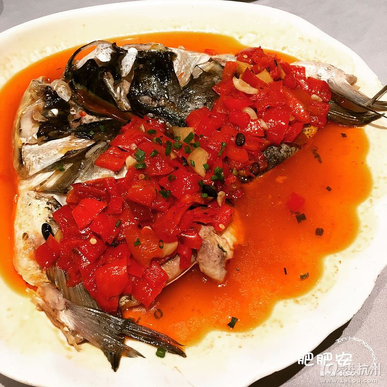 Hello，2016~肥肥安的食月食日（夏季篇）