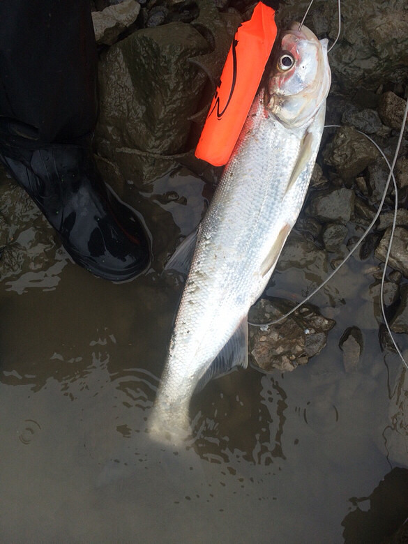 钱塘江-钓鱼俱乐部-杭州19楼