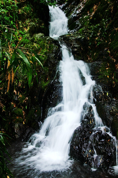 流水淙淙