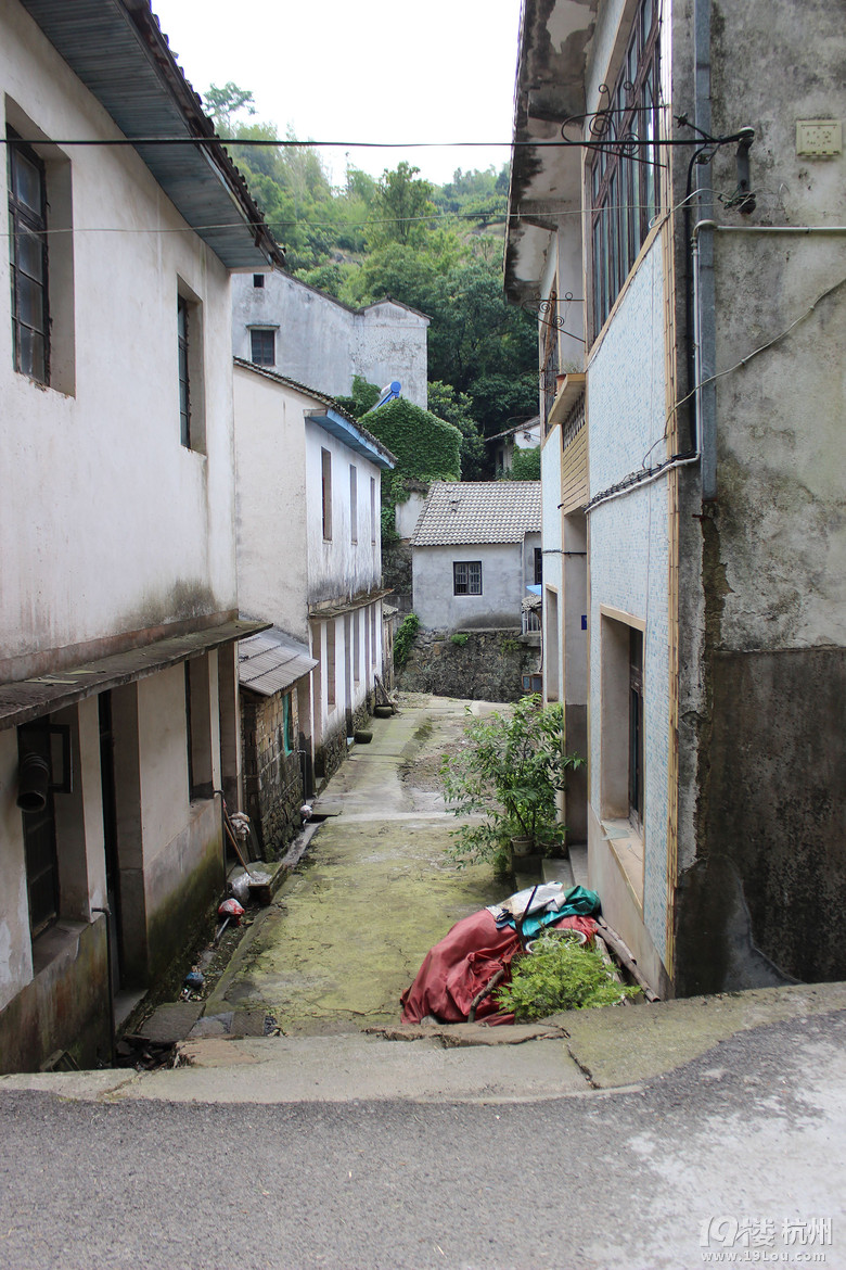 宁静中的安详,放空心灵的地方-记桂岙古村