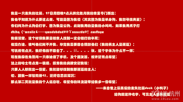 尋拱墅走失比熊duck,真的好著急,希望出現(xiàn)好心人