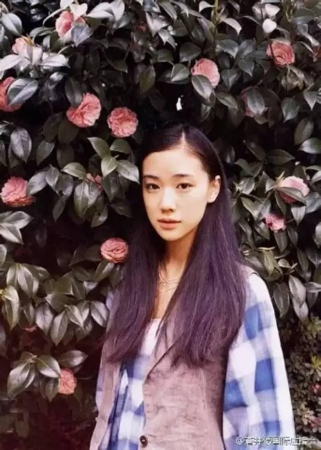 苍井优电影佳作 女神的电影你看过几部