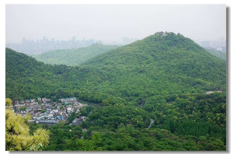 【杭州虎跑山野趣橫生悠悠然】