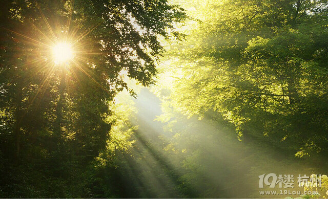 【 一缕阳光照我心… 】