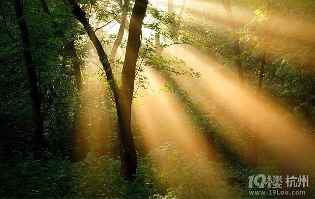 【 一缕阳光照我心… 】