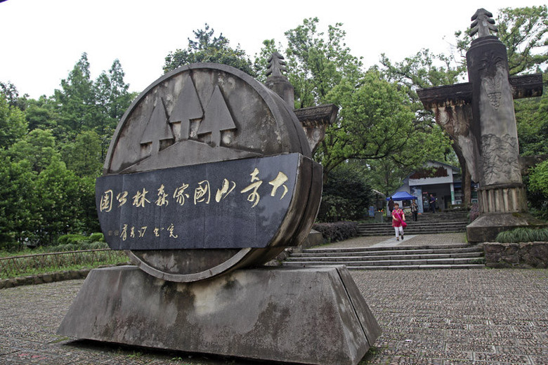 翠新奇的桐庐大奇山国家森林公园