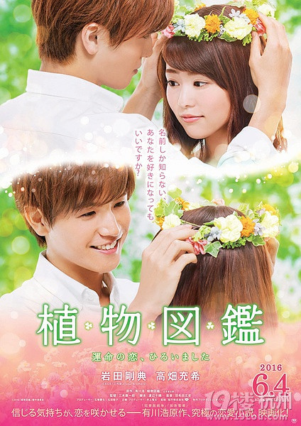 日本票房:《植物图鉴》夺冠 《死侍》第3-影片