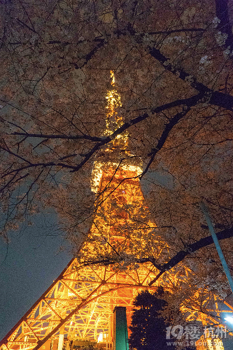 【初夏出行】+帶XML去旅行之日本關(guān)東
