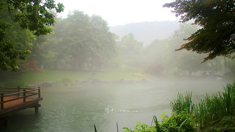 雨蒙蒙雾蒙蒙