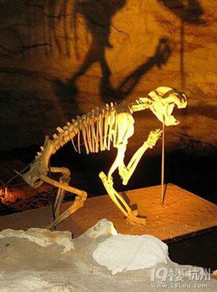 探秘世界10大洞穴:一个直接通往"地狱"_奇闻异事录__杭州19楼