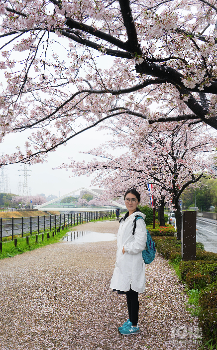 【初夏出行】+帶XML去旅行之日本關(guān)東