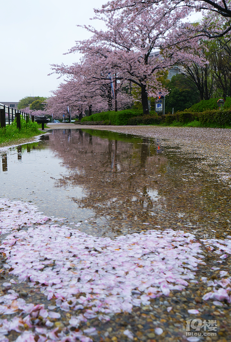 【初夏出行】+帶XML去旅行之日本關(guān)東
