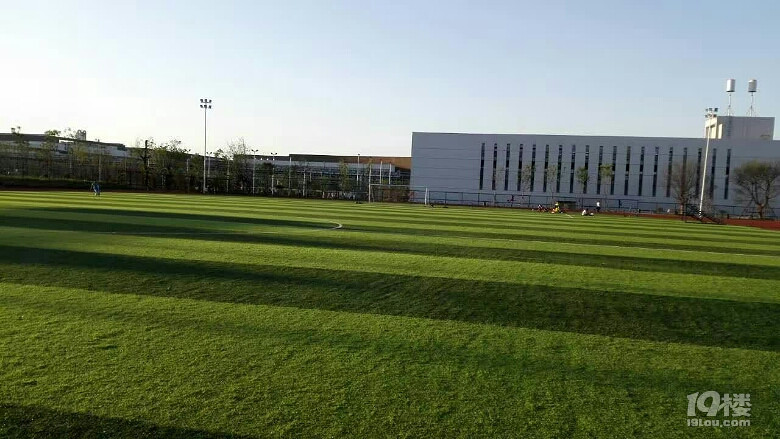 请问下交警同志,无证驾驶车子被扣,驾驶员跑了