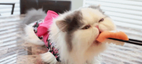 aabde99da04f45450cf288bd7404_500_225 (1).jpg