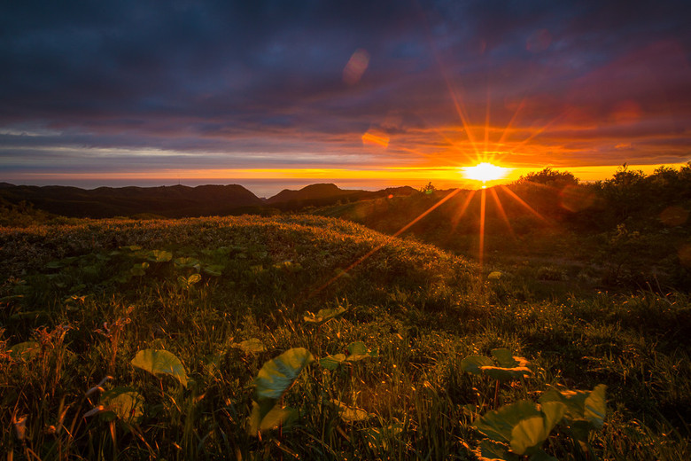 俄罗斯萨哈林初夏的自然风光