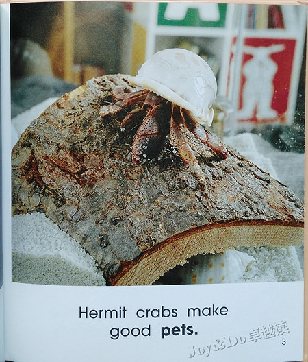 20160626 绘本 pet hermit crab