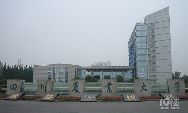 远程教育和函授哪个好-充电时间-杭州19楼