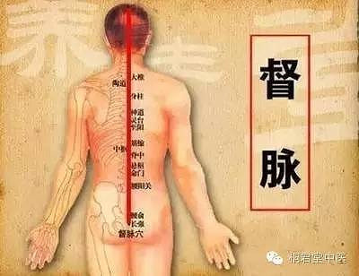 三伏养生灸,夏季正当时!