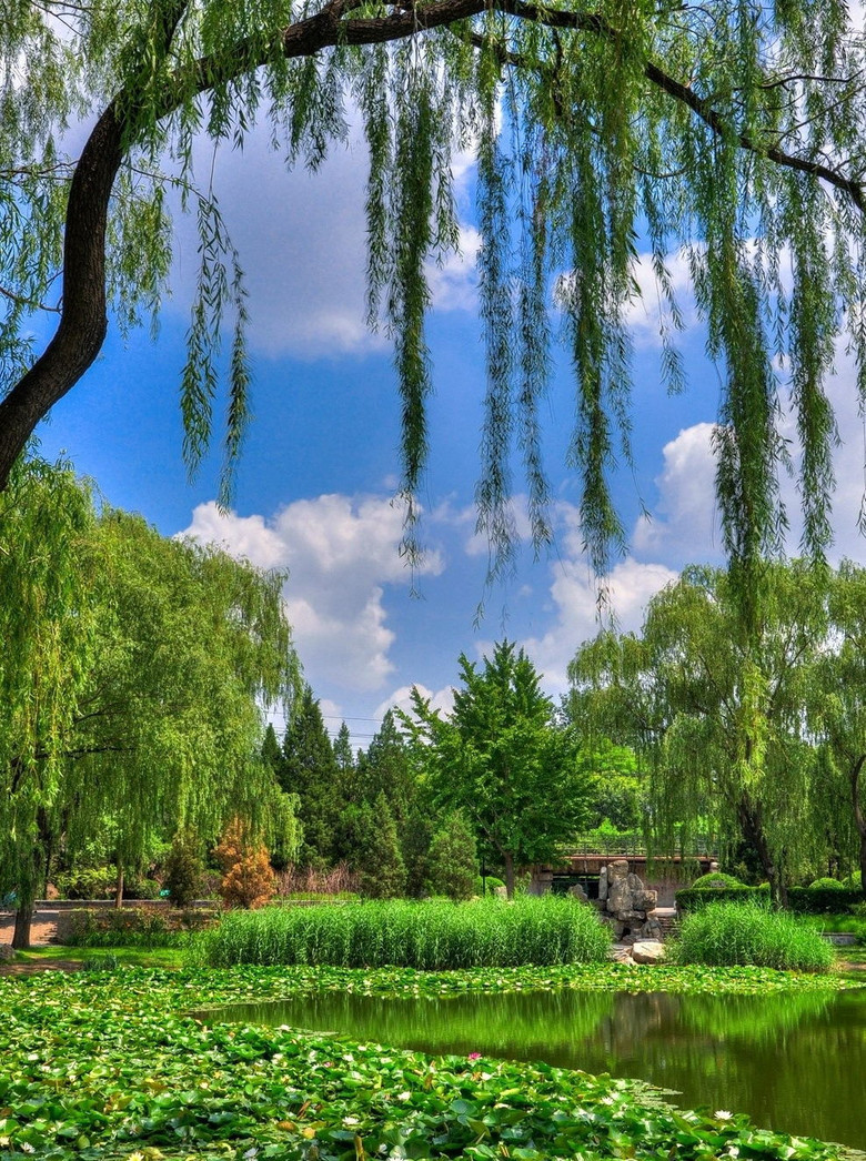 北京龙潭西湖公园