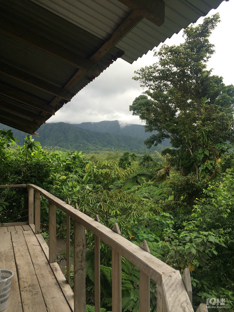 solo tripLost in an island called VANUATU