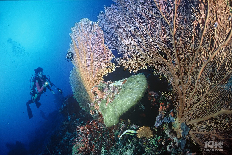 solo tripLost in an island called VANUATU