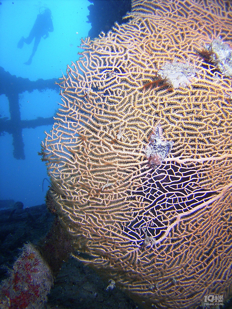 solo tripLost in an island called VANUATU