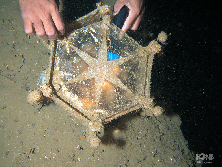 solo tripLost in an island called VANUATU