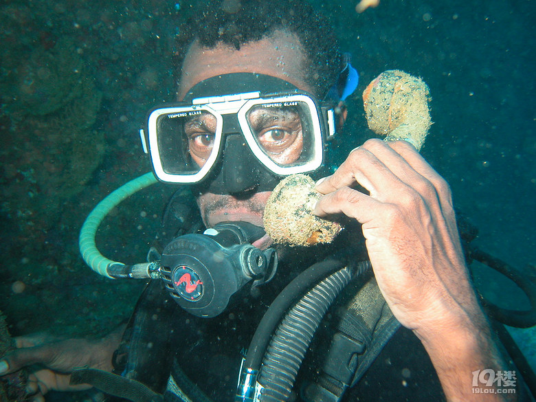 solo tripLost in an island called VANUATU