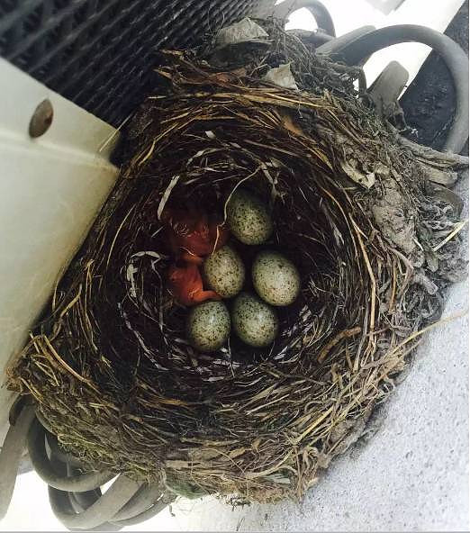 夏天那么热,温州这家人却没开空调!一个月后,奇