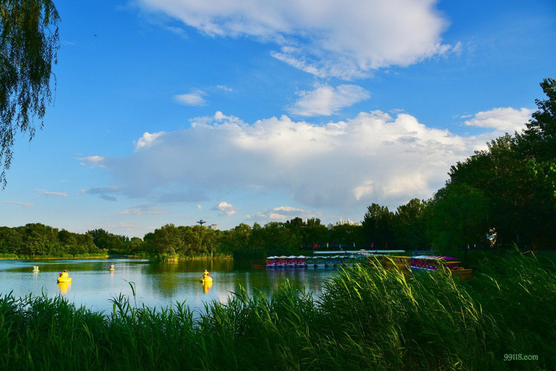 北京朝阳公园(高清)