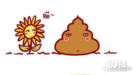 【今日热点】正常大便│如何观察宝宝的大便是否正常？