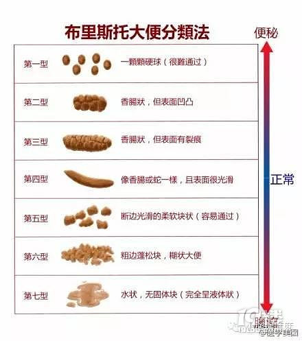 【今日热点】正常大便│如何观察宝宝的大便是否正常？