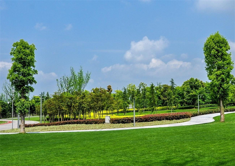 重庆科学城中央公园图片