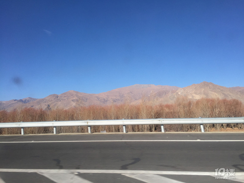 2016年的春节,我在拉萨你在哪里-游记攻略-旅