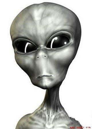 巨长水怪尸体惊现英湖边 疑似外星物种_奇闻异事录__杭州19楼