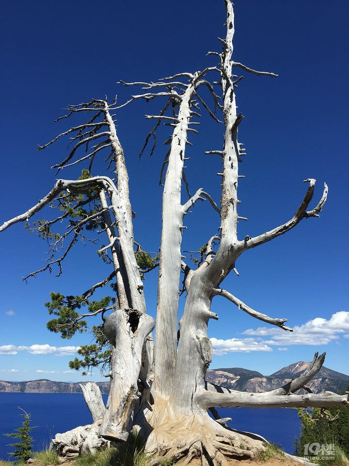 美国火山湖国家公园游记