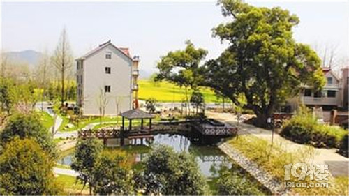 高温天里劲爆消息!G20,桐庐美景对杭州人全部