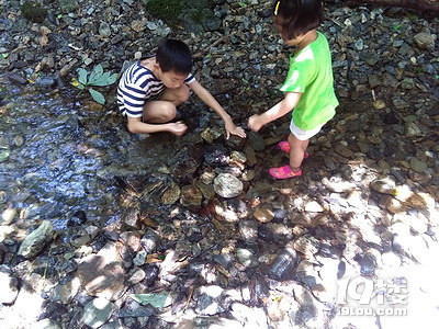 【清凉暑假】清凉到发抖的溯溪，安吉最后的处女地
