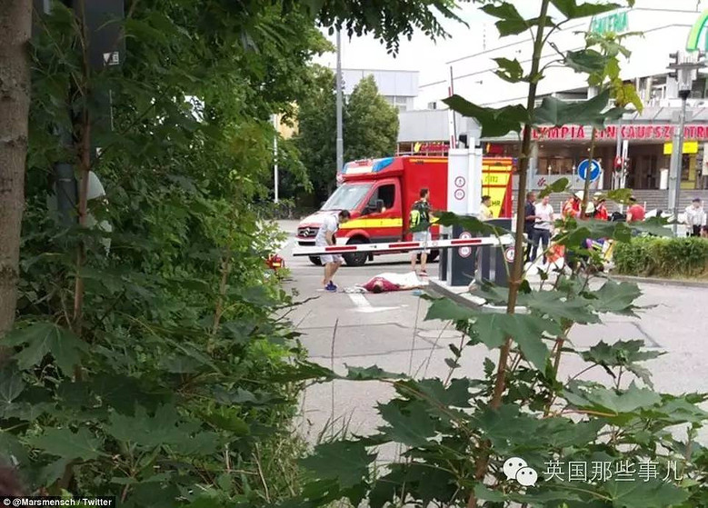 慕尼黑枪案凶手,18岁德国籍伊朗裔.是什么让他
