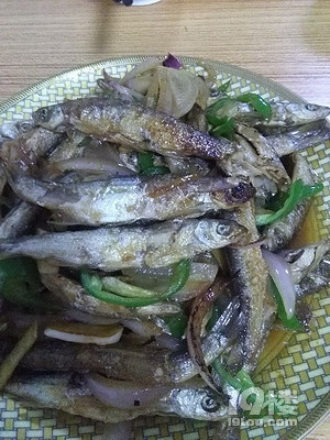 【清凉暑假】清凉到发抖的溯溪，安吉最后的处女地