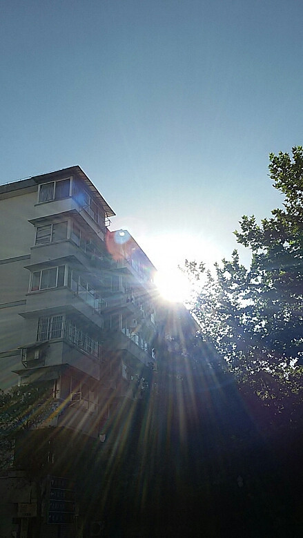 大太阳出来了,今天杭城又是个高温天.