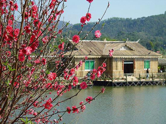 桃花島旅遊景點大集合東邪黃藥師的老家