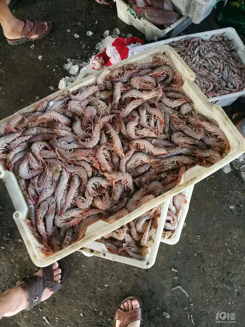 石浦海鲜,鲜的不要不要的哦~~-其他-美食俱乐部-杭州19楼