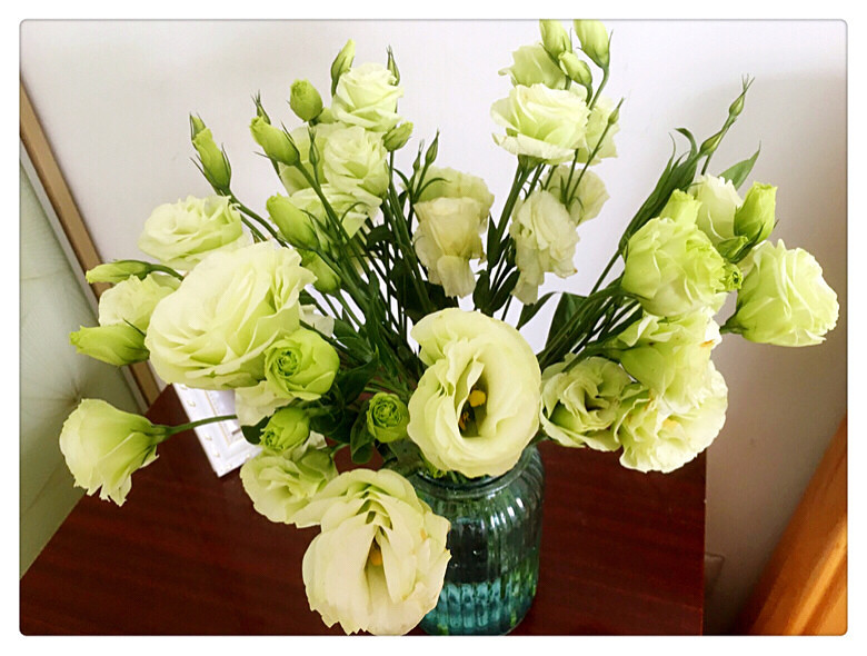 #桔梗花#花语:富于感情、感动,不变的爱