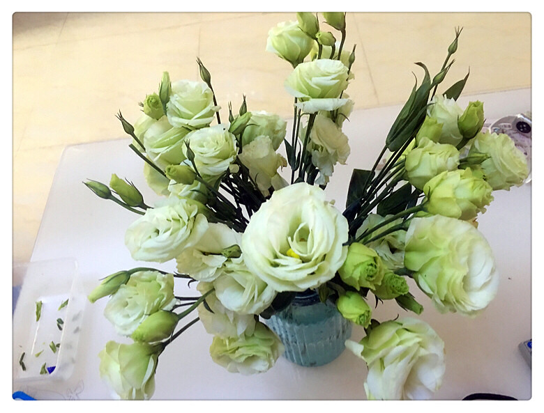 #桔梗花#花语:富于感情、感动,不变的爱