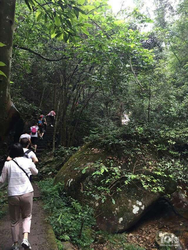 游钱江源避暑溯溪，千岛湖环湖
